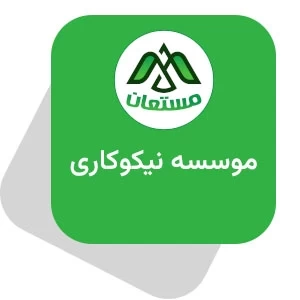 نمونه کار طراحی وب سایت خیریه مستعان