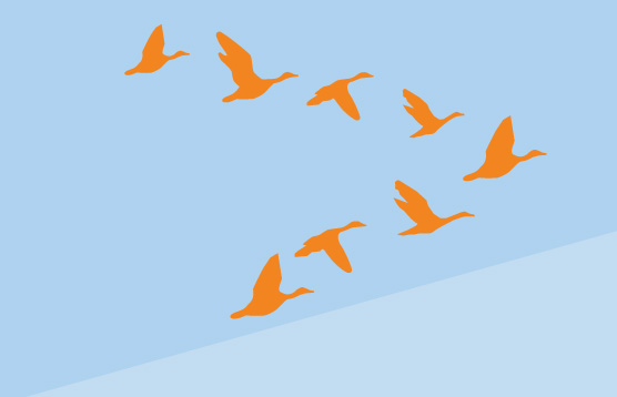 wp to laravel migration